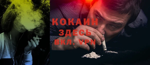 прущие грибы Инсар