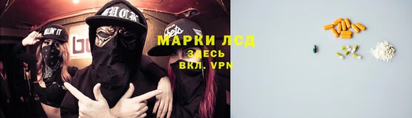 прущие грибы Инсар