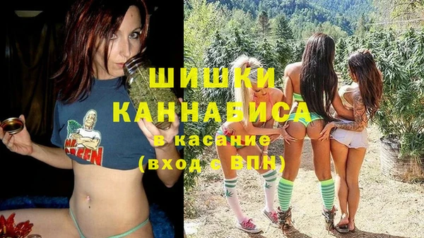 прущие грибы Инсар