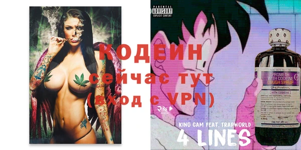 mix Иннополис